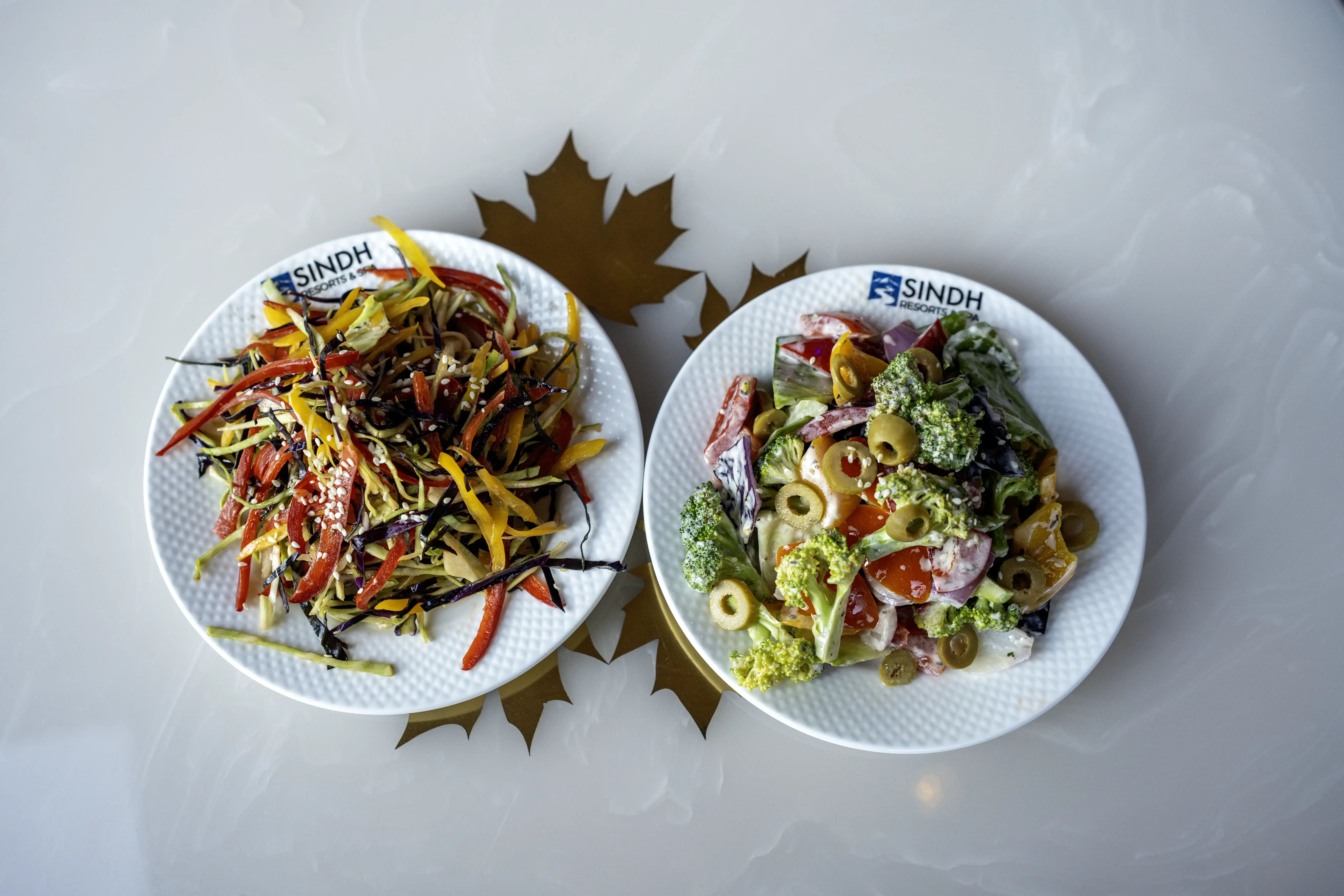 Multi-Cuisine Flavours